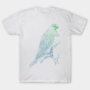 Mr Kereru, New Zealand wood pigeon T-Shirt